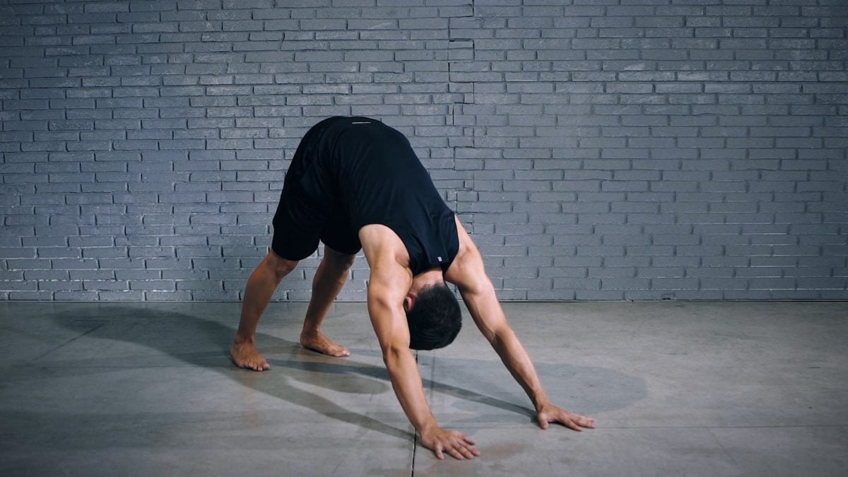 downward dog - EVO Fitness