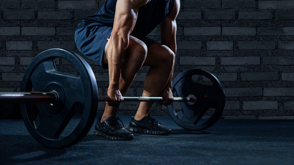 endurance workout - Ausdauerworkout - entraînement d'endurance - evofitness